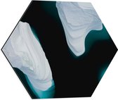Dibond Hexagon - IJsrotsen in het Water - 50x43.5 cm Foto op Hexagon (Met Ophangsysteem)