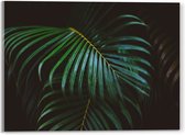Acrylglas - Groene Palmbladeren - 40x30 cm Foto op Acrylglas (Met Ophangsysteem)