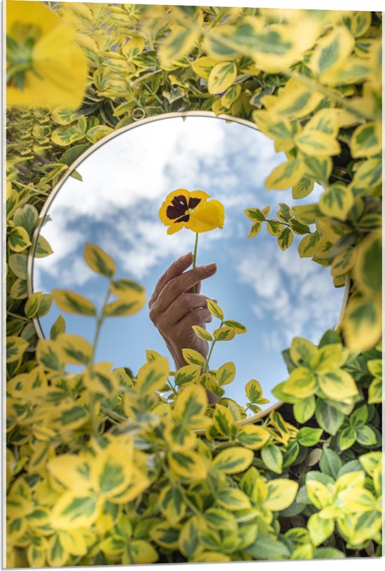 WallClassics - Acrylglas - Het Spiegelbeeld van een Gele Bloem - 60x90 cm Foto op Acrylglas (Met Ophangsysteem)