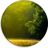 Dibond Muurcirkel - Struiken aan de Rand van het Bos - 30x30 cm Foto op Aluminium Muurcirkel (met ophangsysteem)