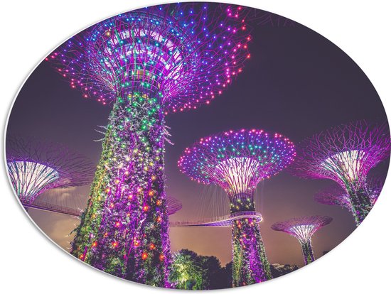 WallClassics - PVC Schuimplaat Ovaal - Natuurpark in Nacht - Singapore - 68x51 cm Foto op Ovaal (Met Ophangsysteem)