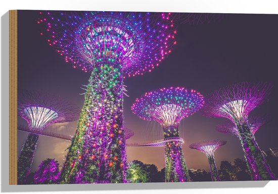 WallClassics - Hout - Natuurpark in Nacht - Singapore - 60x40 cm - 9 mm dik - Foto op Hout (Met Ophangsysteem)