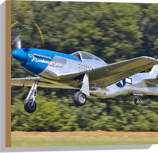 WallClassics - Hout - Blauw met Grijze Vliegtuig - 50x50 cm - 9 mm dik - Foto op Hout (Met Ophangsysteem)