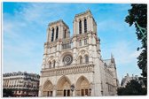 WallClassics - PVC Schuimplaat - Notre-Dame Kathedraal - Parijs - 60x40 cm Foto op PVC Schuimplaat (Met Ophangsysteem)