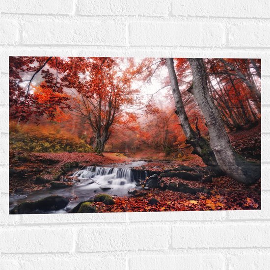 Muursticker - Bos met Stromend Water en Roodkleurige Bladeren - 60x40 cm Foto op Muursticker