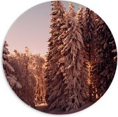WallClassics - PVC Schuimplaat Muurcirkel - Bomen in het Bos onder de Sneeuw - 70x70 cm Foto op Muurcirkel (met ophangsysteem)