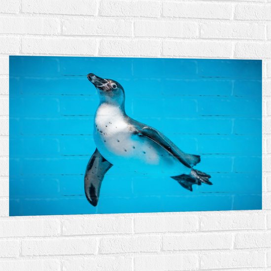Muursticker - Zwemmende Pingïun in Blauwe Zee - 90x60 cm Foto op Muursticker