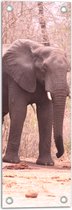 WallClassics - Tuinposter – Lopende Olifant op Bospad - 20x60 cm Foto op Tuinposter (wanddecoratie voor buiten en binnen)