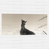 WallClassics - Muursticker - Neerkijkend Paard (Zwart- wit) - 100x50 cm Foto op Muursticker