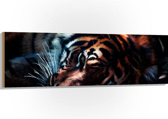 WallClassics - Hout - Rustende Tijger in het Zonlicht - 150x50 cm - 9 mm dik - Foto op Hout (Met Ophangsysteem)