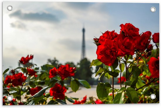 Tuinposter – Rode Rozenstruik voor Eiffeltoren in Parijs, Frankrijk - 60x40 cm Foto op Tuinposter (wanddecoratie voor buiten en binnen)