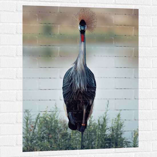 WallClassics - Muursticker - Smalle Kraanvogel bij het Gras aan het Water - 75x100 cm Foto op Muursticker
