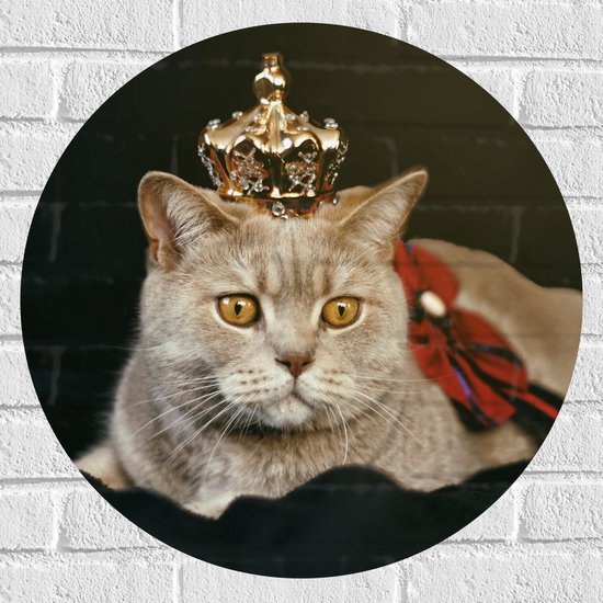 Muursticker Cirkel - Kat als Koning met Kroontje - 60x60 cm Foto op Muursticker