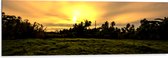 Dibond - Grasveld voor Zon verdwijnend achter Palmbomen - 120x40 cm Foto op Aluminium (Wanddecoratie van metaal)