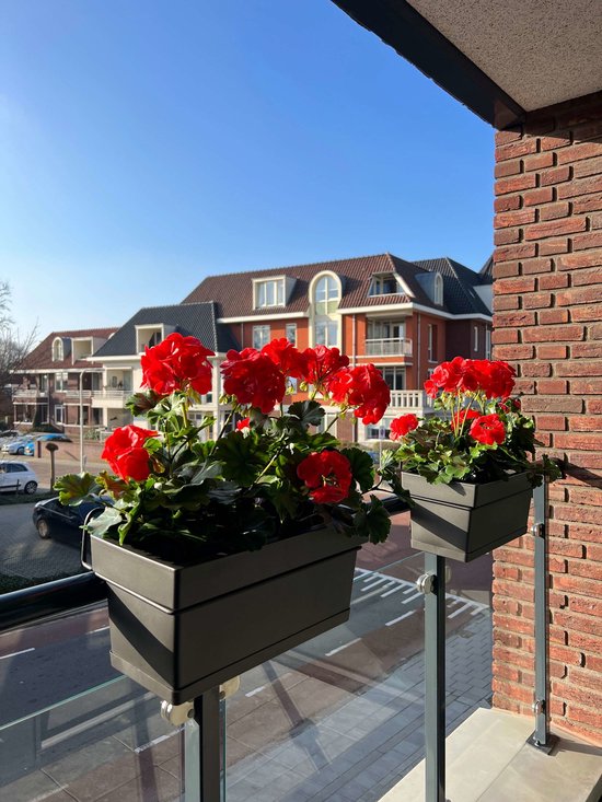 LeopoldFlora Kunst Geraniums voor Buiten - Rode XL UV-bestendig | bol