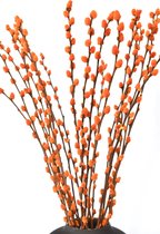 Katjes - Wilgenkatjes - Katjes takken - Oranje - 70 cm - Natuurlijk Bloemen