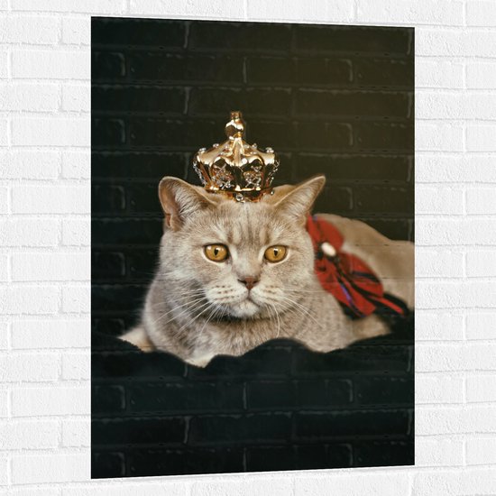 Muursticker - Kat als Koning met Kroontje - 70x105 cm Foto op Muursticker