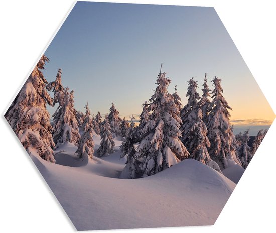 PVC Schuimplaat Hexagon - Dikke Laag Sneeuw in Open Bos met Bomen - 60x52.2 cm Foto op Hexagon (Met Ophangsysteem)