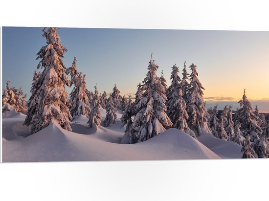 PVC Schuimplaat- Dikke Laag Sneeuw in Open Bos met Bomen - 100x50 cm Foto op PVC Schuimplaat