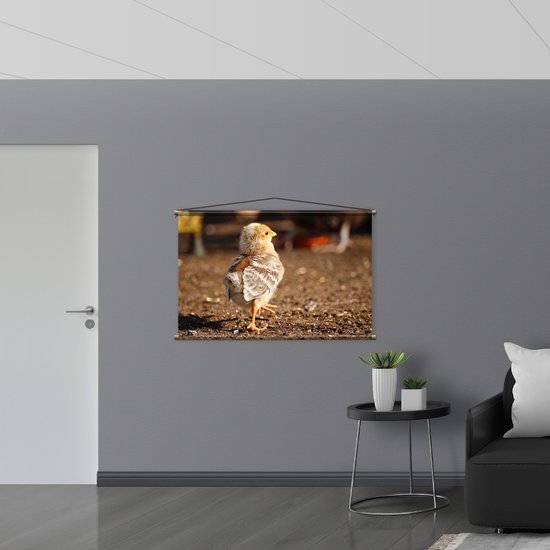 WallClassics - Affiche Textile - Poussin Qui Marche - 120x80 cm Photo sur Textile