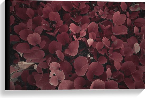 Canvas - Struik van Rode Bladeren - 60x40 cm Foto op Canvas Schilderij (Wanddecoratie op Canvas)