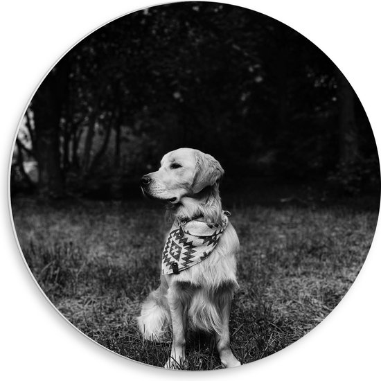 PVC Schuimplaat Muurcirkel - Zittende Hond in Zwart-Wit - 50x50 cm Foto op Muurcirkel (met ophangsysteem)