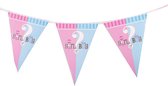 Vlaggenlijn Girl or Boy - slinger - vlaggenlijn - girl or boy - he or she - genderreveal - geboorte - zwanger