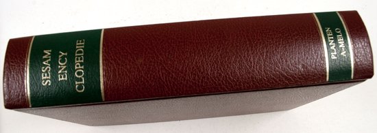 Sesam encyclopedie planten a-melo
