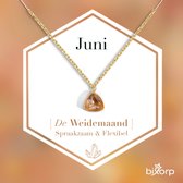 Bixorp Gems Geboortesteen Ketting Juni - Barnsteen - Zirkona Hanger aan Goudkleurige Ketting - 45 + 5cm - Cadeau voor vrouwen