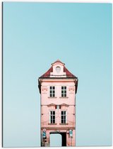 Dibond - Hoog Smal Roze Gebouw onder Blauwe Lucht met Verkeersborden - 60x80 cm Foto op Aluminium (Wanddecoratie van metaal)