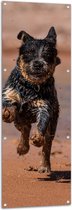 WallClassics - Tuinposter – Blije Rennende Natte Hond op het Strand - 50x150 cm Foto op Tuinposter (wanddecoratie voor buiten en binnen)