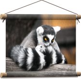Textielposter - Ringstaart Maki Aap met Snuit in Staart op Balk - 40x30 cm Foto op Textiel