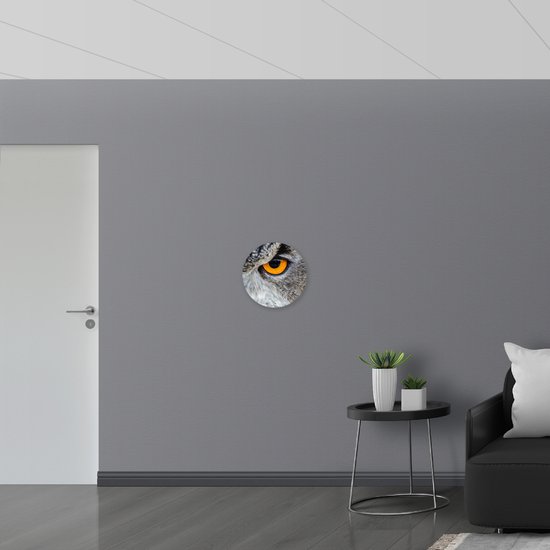 WallClassics - Cercle mural en panneau de mousse PVC - Gros plan d'une chouette grise avec oeil Oranje - Photo 40x40 cm sur cercle mural (avec système de suspension)