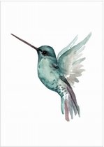 Days of Bloom Poster A4 Kolibri / Humming Bird Jade