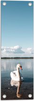 Tuinposter – Sierlijke Zwaan Zwemmend in Laag Water - 20x60 cm Foto op Tuinposter (wanddecoratie voor buiten en binnen)