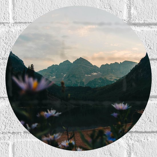 WallClassics - Muursticker Cirkel - Kleine Madeliefjes in Groot Berglandschap - 30x30 cm Foto op Muursticker