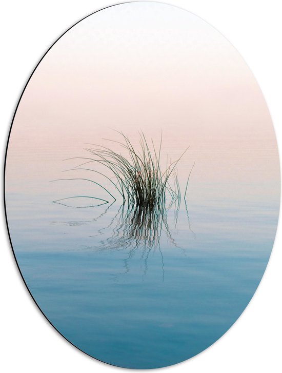 Dibond Ovaal - Gras Plant in het Water - 51x68 cm Foto op Ovaal (Met Ophangsysteem)
