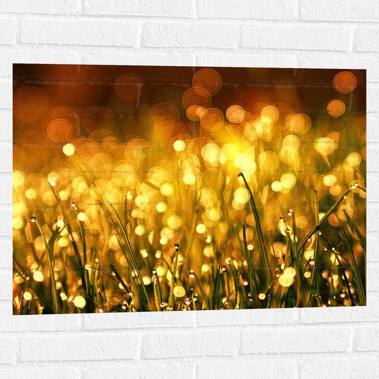 Muursticker - Gras met Gouden Waterdruppels - 80x60 cm Foto op Muursticker