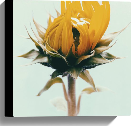 WallClassics - Canvas - Openslaande Gele Bloem - 30x30 cm Foto op Canvas Schilderij (Wanddecoratie op Canvas)