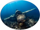 WallClassics - Dibond Ovaal - Vliegtuigwrak op Bodem van Oceaan - 80x60 cm Foto op Ovaal (Met Ophangsysteem)