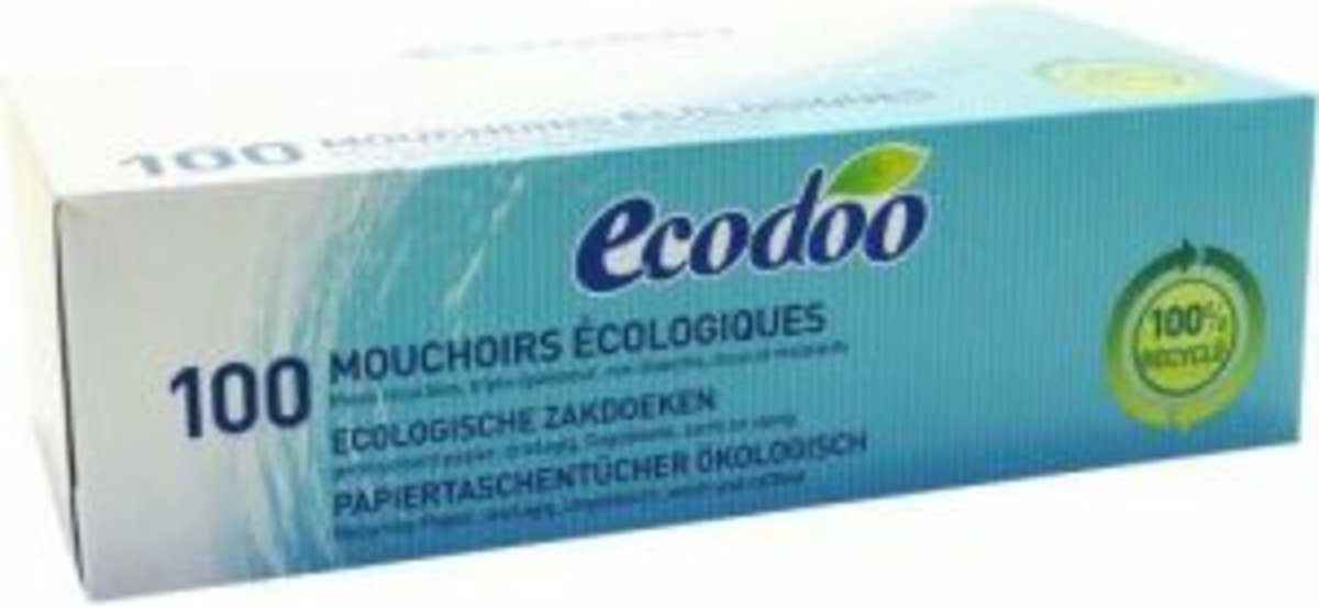 Goedkoopste Ecodoo Tissue Box 100 stuks
