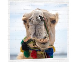 Foto: 