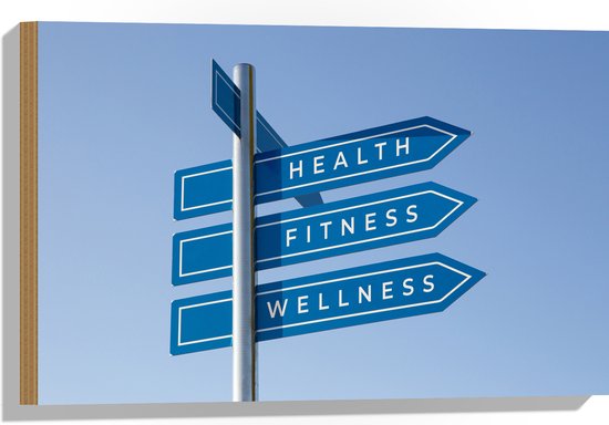 Hout - ''Health, Fitness & Wellness'' Wegwijzer Bordjes - 60x40 cm - 9 mm dik - Foto op Hout (Met Ophangsysteem)