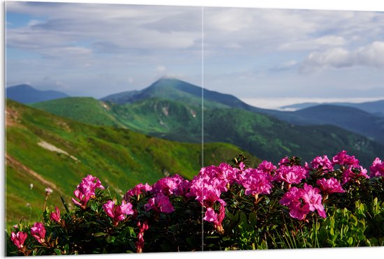 Acrylglas - Groepje Roze Bloemen op Top van Berg in Berglandschap - 120x80 cm Foto op Acrylglas (Met Ophangsysteem)