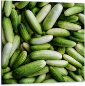 Dibond - Hoopje Groene Komkommers - 100x100 cm Foto op Aluminium (Wanddecoratie van metaal)