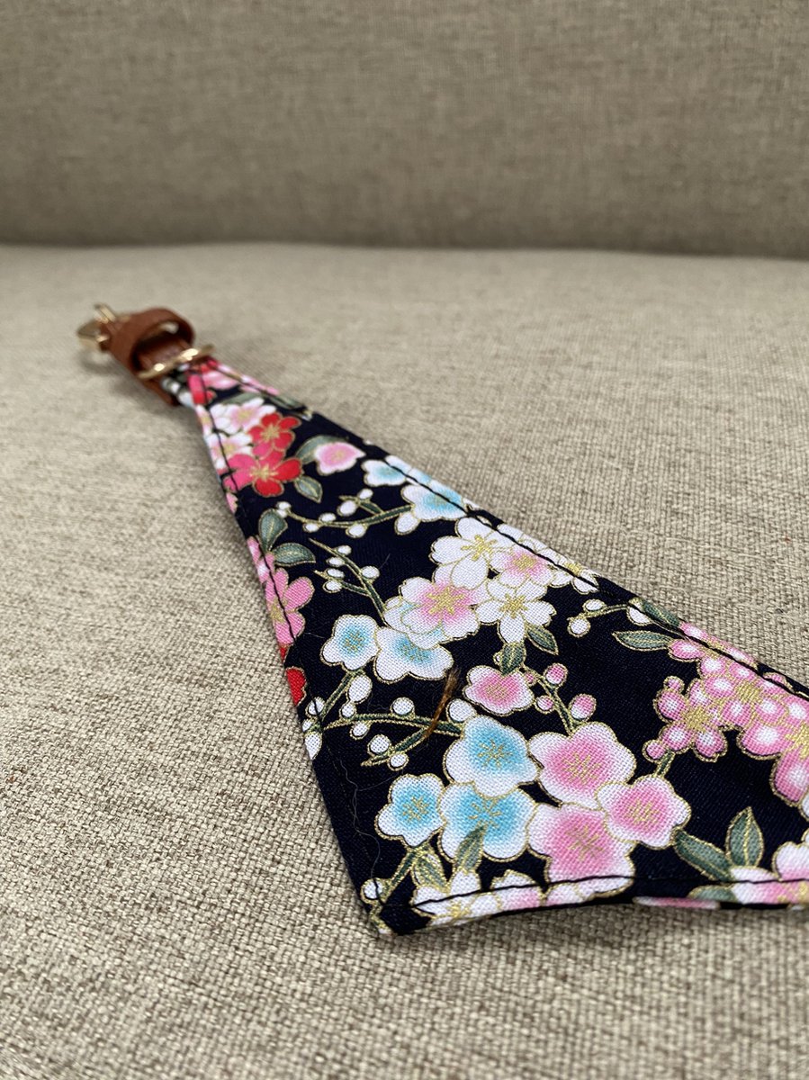 Bol.com Kattenhalsband - Halsband - Kattensjaaltje - Zwart met bloemen - Verstelbaar Katten halsbandje - Kleding voor katten - S... aanbieding