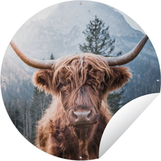 Tuincirkel Schotse hooglander - Berg - Landschap - 60x60 cm - Ronde Tuinposter - Buiten