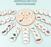 Levenscycles Spel met 10 soorten cycles - Montessori-Educatief bord spel - kinderspeelgoed