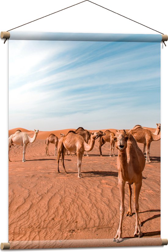 Textielposter - Dromedarissen in de Woestijn - 60x80 cm Foto op Textiel