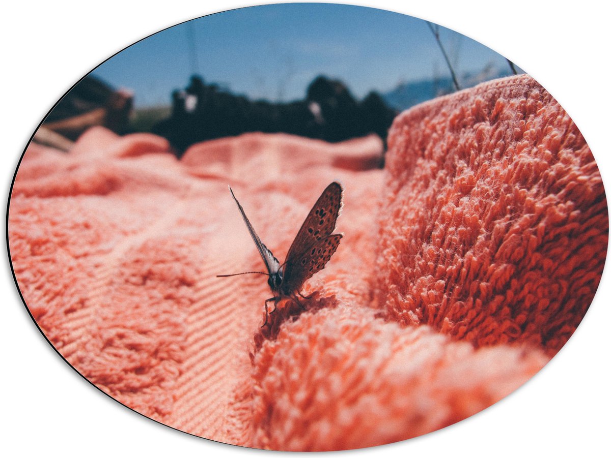 Dibond Ovaal - Vlinder Zittend op Roze Handdoek - 68x51 cm Foto op Ovaal (Met Ophangsystee